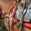 Equestrian Hook: 102 Mm Snabbhake För Hästkommunikation 9
