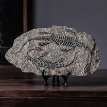 (D)Dinosaur Fossils Ornaments Resin Realistic Velociraptor Model Crafts for Home Living Room Entrance