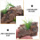 20Pcs Korkskal För Reptilbassäng Terrarium 8