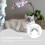 1 Set Inredningsdörr För Husdjur Kattlucka Med Borstdesign 9
