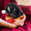 1 Set Tempelmeditation Konstgjord Buddha Träblock 4