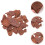 1 Förpackning Reptilbox Tallbark Regnskogslandskap Material 500 G 11
