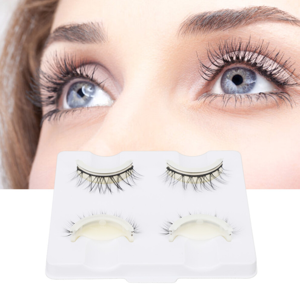 2 Pairs Dense Reusable 3D False Eyelashes Fiber LD2203
