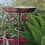 Multifunctional Garden Bird Bath Feeder Stake Spikes with Iron 7
