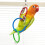 Anneaux colorés balançoire pour oiseaux de compagnie, 2