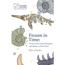 Frozen in Time by Rhys Charles Hardcover Book