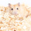 Hamster Träflis Bäddningsmaterial Odörneutraliserande 500g 2