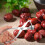 Heavy Duty Nonrust Steel Fruit Stoners Tool For Cherries Grape 7