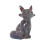 Color Changing Foxes Resin Teas Pet Sculpture-Standing 1