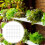 100Pcs Planttillväxtkorgar Hydroponiska För Groddkopp 11