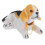 Skakande Hunddekoration För Hem Beagle 10