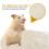 2 Påsar Hamsterpappersflis Djurbäddning Papper Beige 11