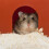 2 Påsar Hamsterpappersflis Djurbäddning Papper Beige 6