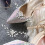 2 bruidschoenclips met parel- , trouwaccessoires 8