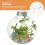 12Pcs Clear Plastic Christmas Balls Reusable Fillable Tree Decoration 10