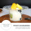 1 Styrfhattsformad Glasbol För Yogurt, Dessert 8