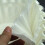 Disposable Wood Coffee Filter Set, 100 Sheets Replacement for Coffee Maker 5