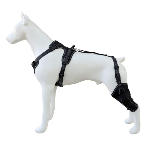 Strapazierfähiger Polyester-Beinschutz für Hunde zur-L