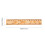 20Pcs Rulers För Barn Mätning Skolaccessoar 2