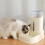 3.8L Eco-Friendly Plastic Pet Water Bottle White Automatic Feeder 2