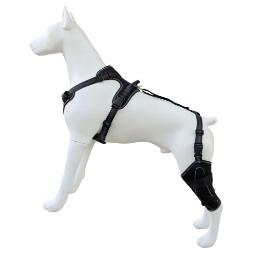 La jambe protectrice de chien enveloppe le polyester flexible-XL