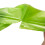6Rolls Small Garbage Bags with Handle Tie for Rubbish 10