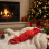 Squeaky Dog Toy Christmas Cracker Crinkle Effect 2
