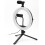 RLM-10 Portable Filming Set with Mic and Light 4
