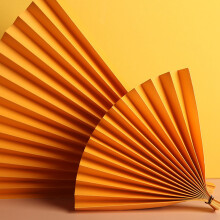 (Golden) Folding Hand Paper Fan Photography Props Light Pink