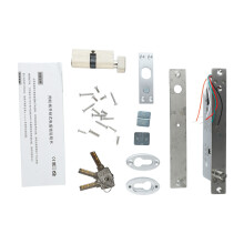 (5 Wire 12V Power Unlocking Round Tongue With Key) Electric Bolt Lock Stainless Steel 12V Delay Mortise Deadbolt 5 Wire