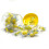 30 Pairs Soft Foam Earplugs Noise Reduction for Sleeping Learning 4