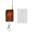 DC12V 4-fach Wireless-Lerncontroller, 1 Modul + 1 Fernbedienung 1