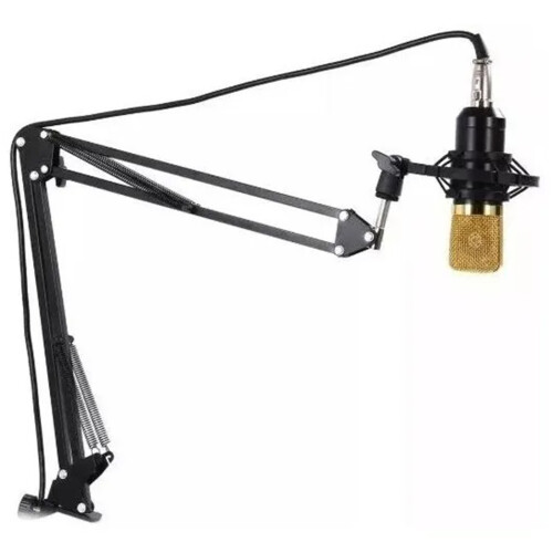 Adjustable Microphone Arm Stand with Boom Mic Clip 2