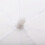 33in / 83cm Studio Flash Translucent White Soft Umbrella 4