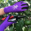 1 Paar Nitril Arbeitsschutz-Fingerlinge Lila M 5