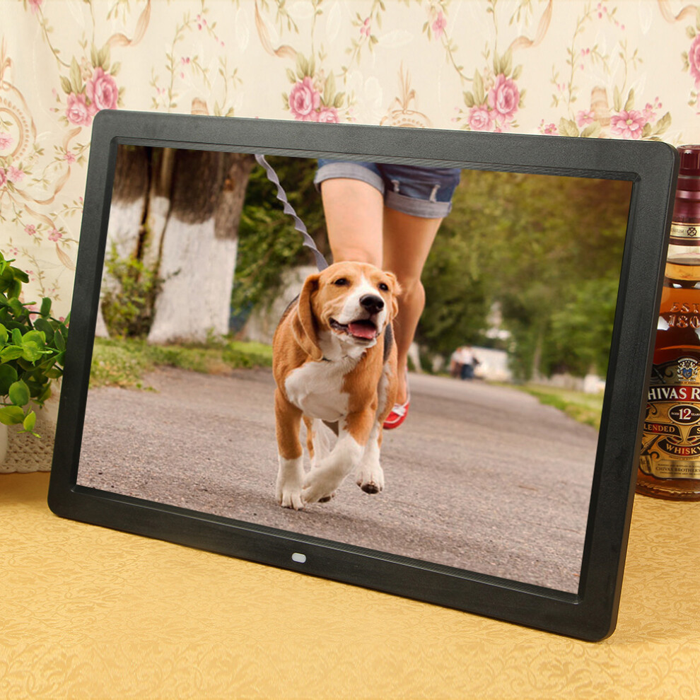 17Inch Led Photo Frame 1080P Video Player Clock Remote 643505131628
