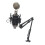 Removable Cantilever Stand Adjustable Wall Mount Microphone Arm 3