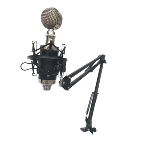 Removable Cantilever Stand Adjustable Wall Mount Microphone Arm 2