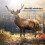 30MP Trail Camera 2in LCD 4K Motion Water Resistant 48 IR LEDs 4