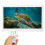 17 inch IPS Digital Photo Frame LED Electronic Album Remote 2