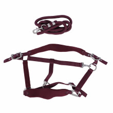 (Wine Red L) Horse Halter Set Adjustable 2m Leash Wine Red M