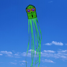 Kids Octopus Kite Long Tail Outdoor Beach Toy