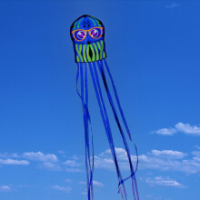 3pcs Kids Octopus Kite Long Tail Outdoor Beach Toy