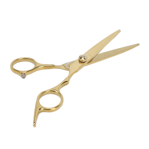 Professionelle Friseurschere aus Edelstahl 1