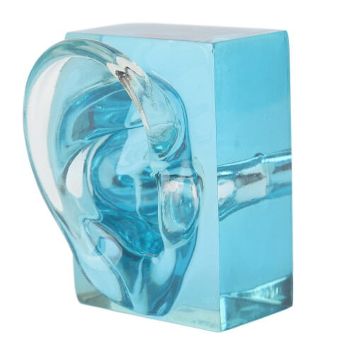 Blauw Transparant Waterdicht Oormodel