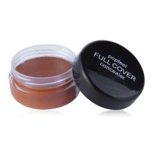 (FC04) Makeup Concealer Volle Abdeckung für Augenringe Nase Wange FC04