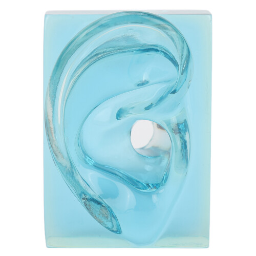 Blauw Transparant Waterdicht Oormodel 2