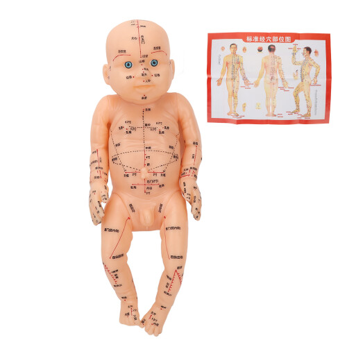 Akupunktur-Modell Kindertraining Puppe mit Akupunktpunkten