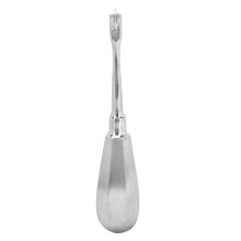 Elevatore Estrattore Corone Acciaio Inox