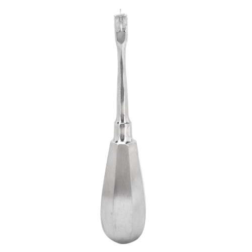 Elevatore Estrattore Corone Acciaio Inox